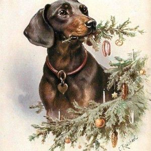 Meet your Posher, Toni